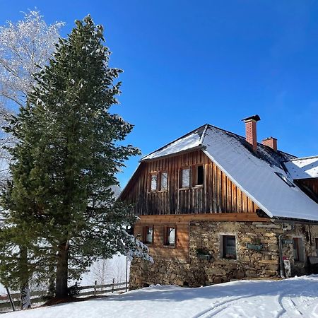 Apartments Im Almhaus Bachler Gundisch Kültér fotó