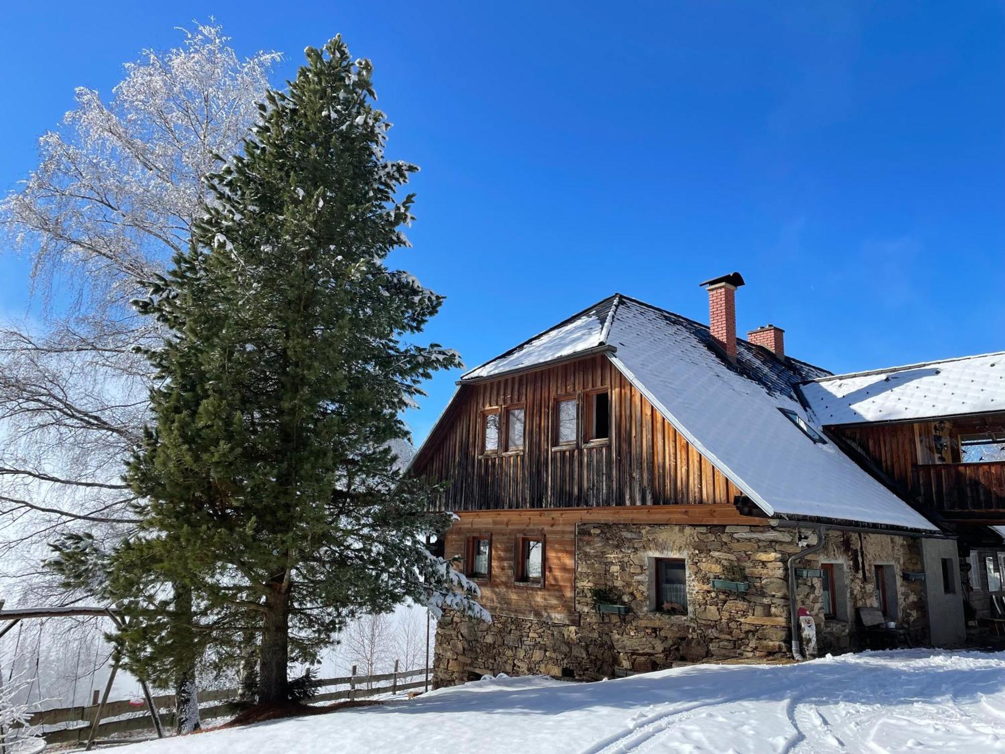 Apartments Im Almhaus Bachler Gundisch Kültér fotó