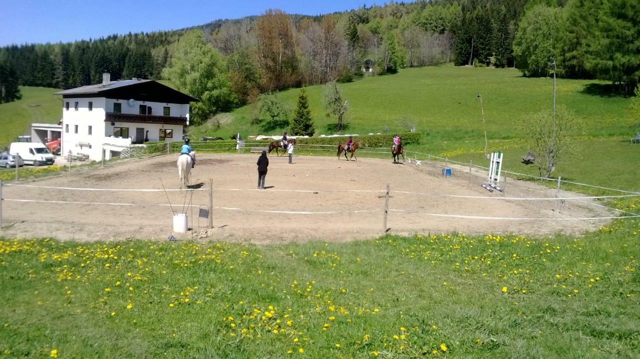 Apartments Im Almhaus Bachler Gundisch Kültér fotó